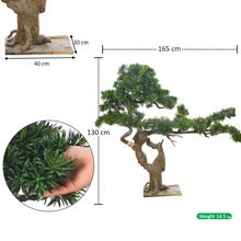 Artificial Podocarpus Bonsai Plant 130cm Tall
