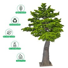 Layered Evergreen Bonsai Tree