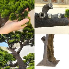 Layered Evergreen Bonsai Tree