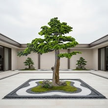 Layered Evergreen Bonsai Tree