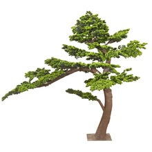 Windswept Evergreen Bonsai