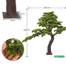 Sculpted Evergreen Bonsai Tree 1.4m Tall