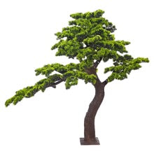 Sculpted Evergreen Bonsai Tree 1.4m Tall