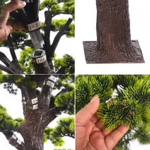 Sculpted Evergreen Bonsai Tree 1.4m Tall