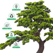 Sculpted Evergreen Bonsai Tree 1.4m Tall