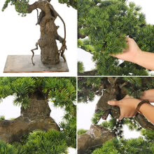 Artificial Cypres Pine Bonsai Plant 155cm Tall