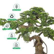 Artificial Cypres Pine Bonsai Plant 155cm Tall