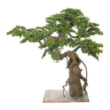 Artificial Cypres Pine Bonsai Plant 155cm Tall