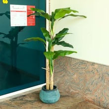 Artificial Banana Plant 2 Meter Tall(with black nursery pot