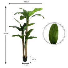 Artificial Banana Plant 2 Meter Tall(with black nursery pot