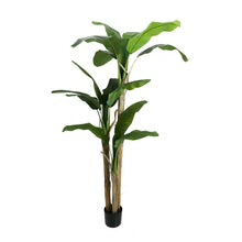 Artificial Banana Plant 2 Meter Tall(with black nursery pot
