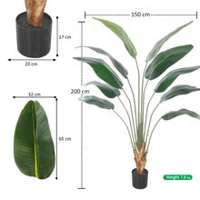 Artificial Bird of Paradise Plant in Black Pot