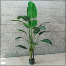 Artificial Banana Plant 2m High