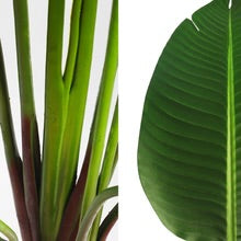 Artificial Banana Plant 2m High