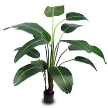 Artificial Banana Plant 2m High
