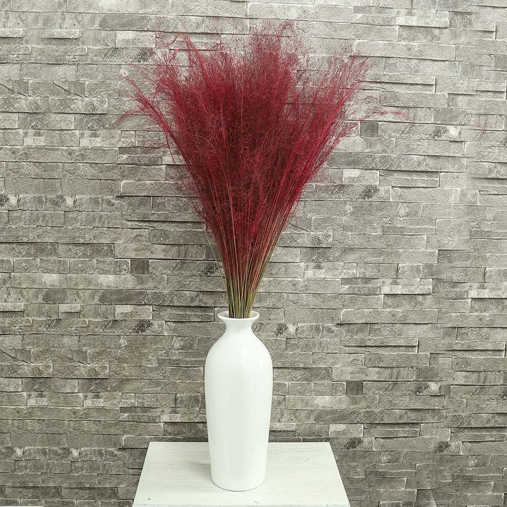 عشب مجفف طبيعي (بدون مزهرية)