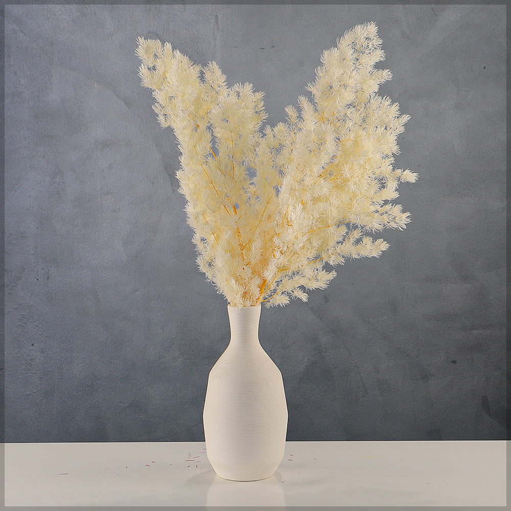 غصن سرخس مجفف طبيعي (بدون مزهرية)