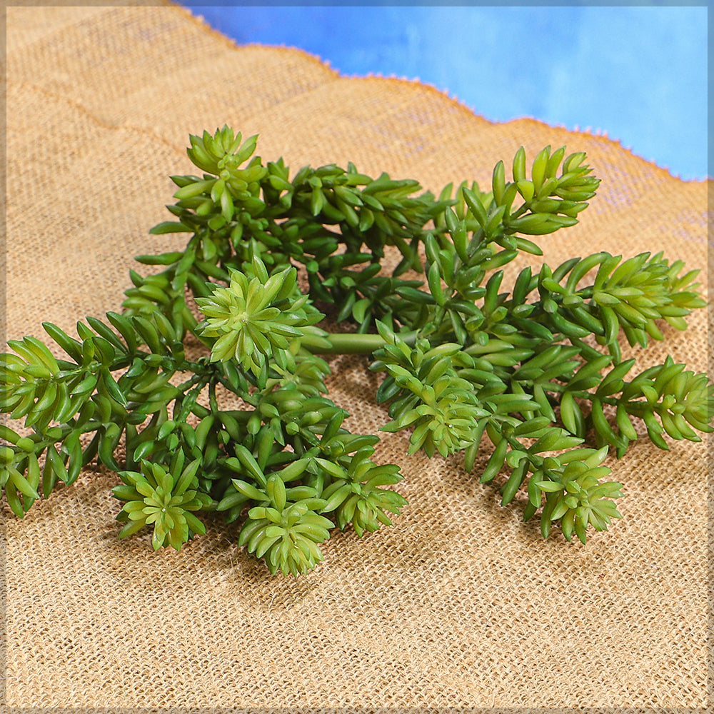 غصن نبات السيدوم العصاري الصناعي (بدون مزهرية)