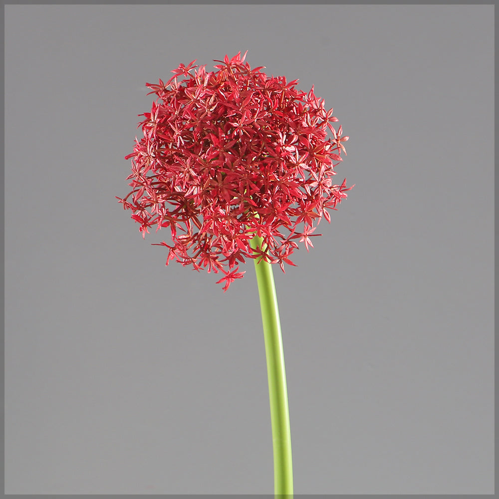 Artificial Single Stem Allium