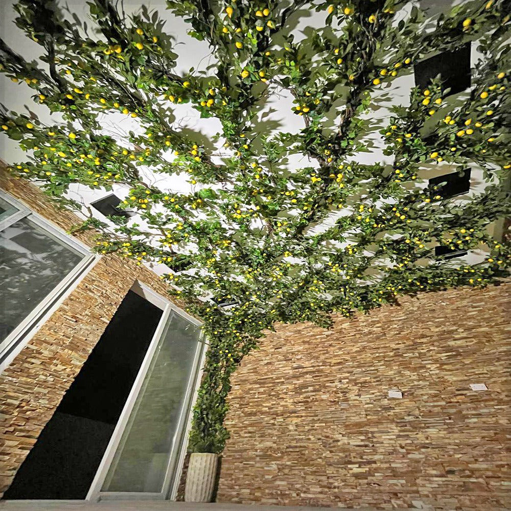 Lemon Tree Under the Sky for display purposes only (non-sale)
