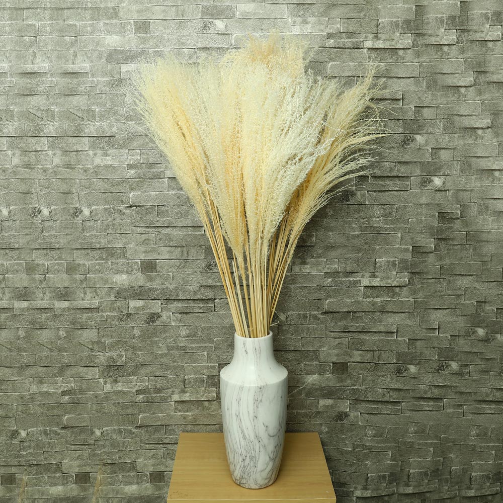 عشب بامبا محفوظ طبيعي (بدون مزهرية)
