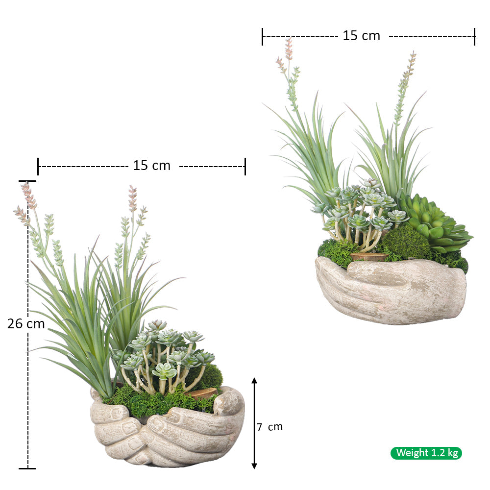 تنسيق نباتات عصارية "أيادي الطبيعة" (قطعة واحدة)
