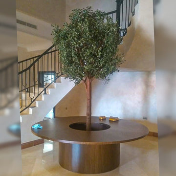 الطبيعة تلتقي بالتصميم: شجرة تنمو عبر الطاولة للعرض فقط (غير معروض للبيع)