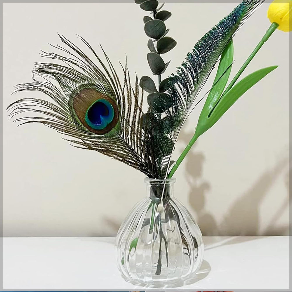 Natural Decorative Peacock Feather