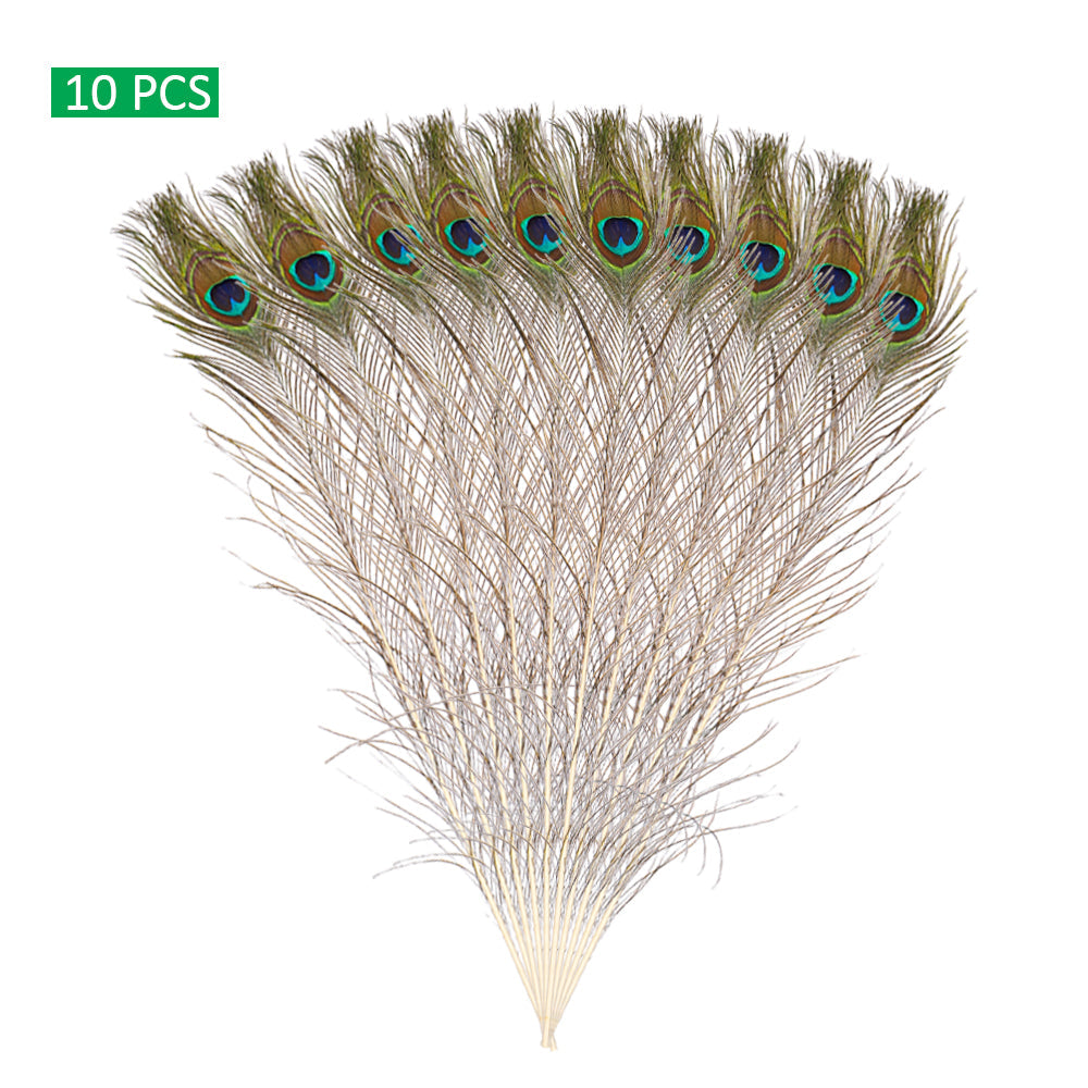 Natural Decorative Peacock Feather