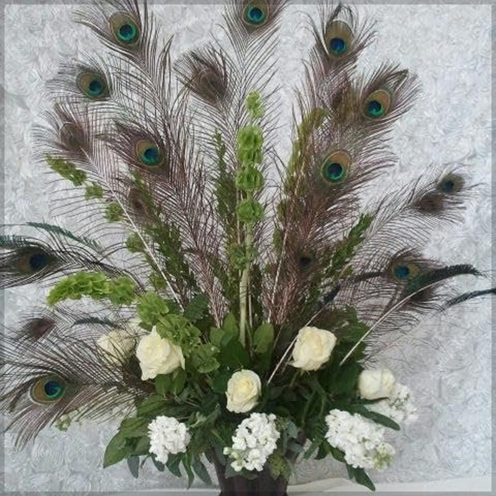 Natural Decorative Peacock Feather