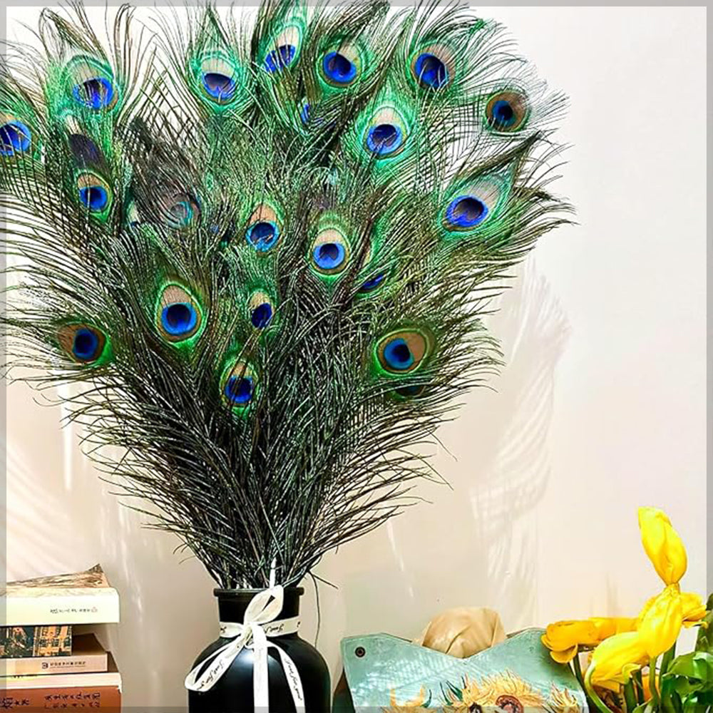 Natural Decorative Peacock Feather