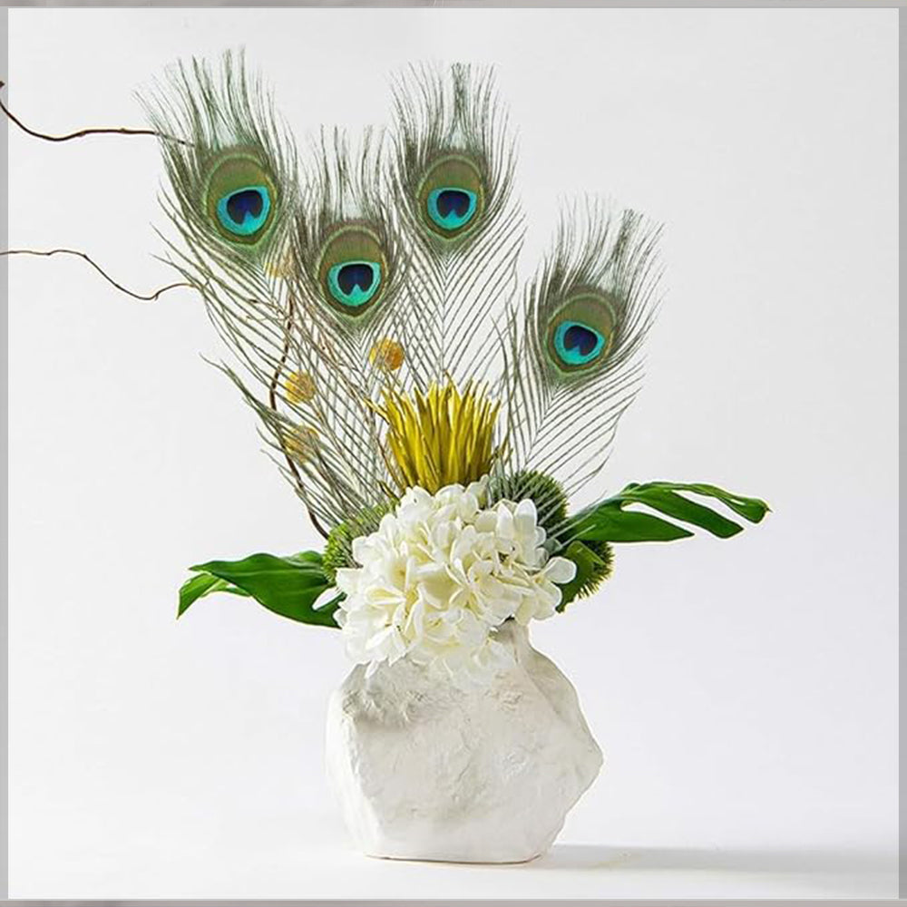 Natural Decorative Peacock Feather