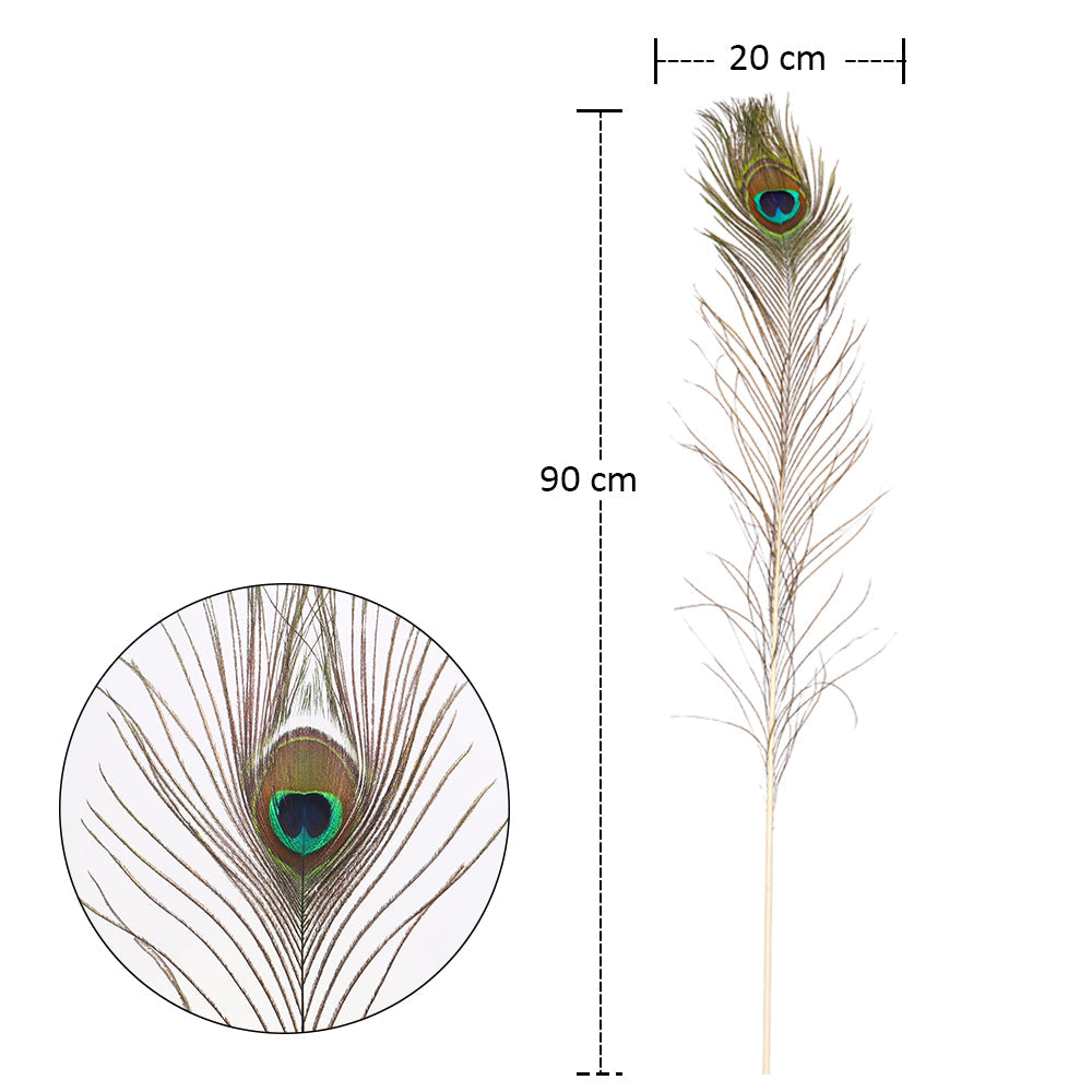Natural Decorative Peacock Feather