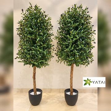 Premium Artificial Olive Trees for display purposes only (non-sale)