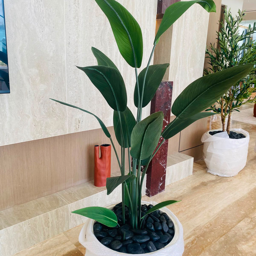 🌿 حوّل مساحتك بخضرة صناعية فاخرة للعرض فقط (غير معروض للبيع)