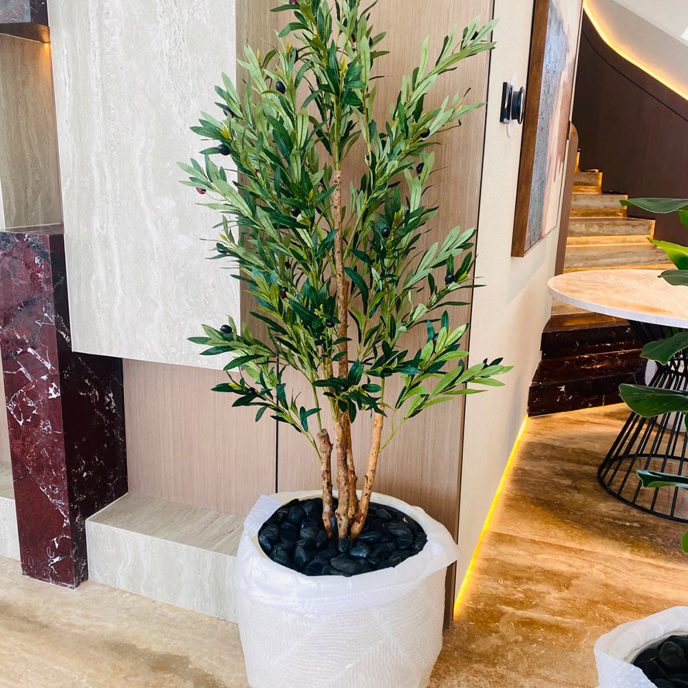 🌿 حوّل مساحتك بخضرة صناعية فاخرة للعرض فقط (غير معروض للبيع)