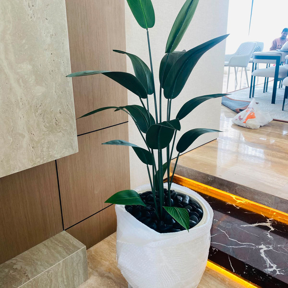 🌿 حوّل مساحتك بخضرة صناعية فاخرة للعرض فقط (غير معروض للبيع)
