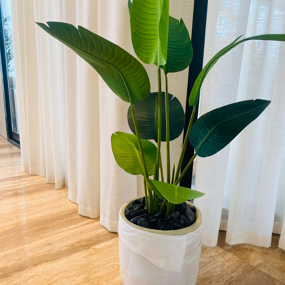 🌿 حوّل مساحتك بخضرة صناعية فاخرة للعرض فقط (غير معروض للبيع)