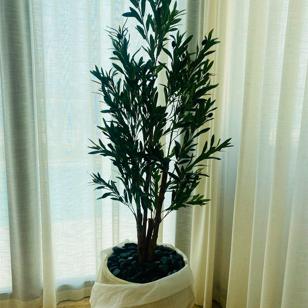 🌿 حوّل مساحتك بخضرة صناعية فاخرة للعرض فقط (غير معروض للبيع)