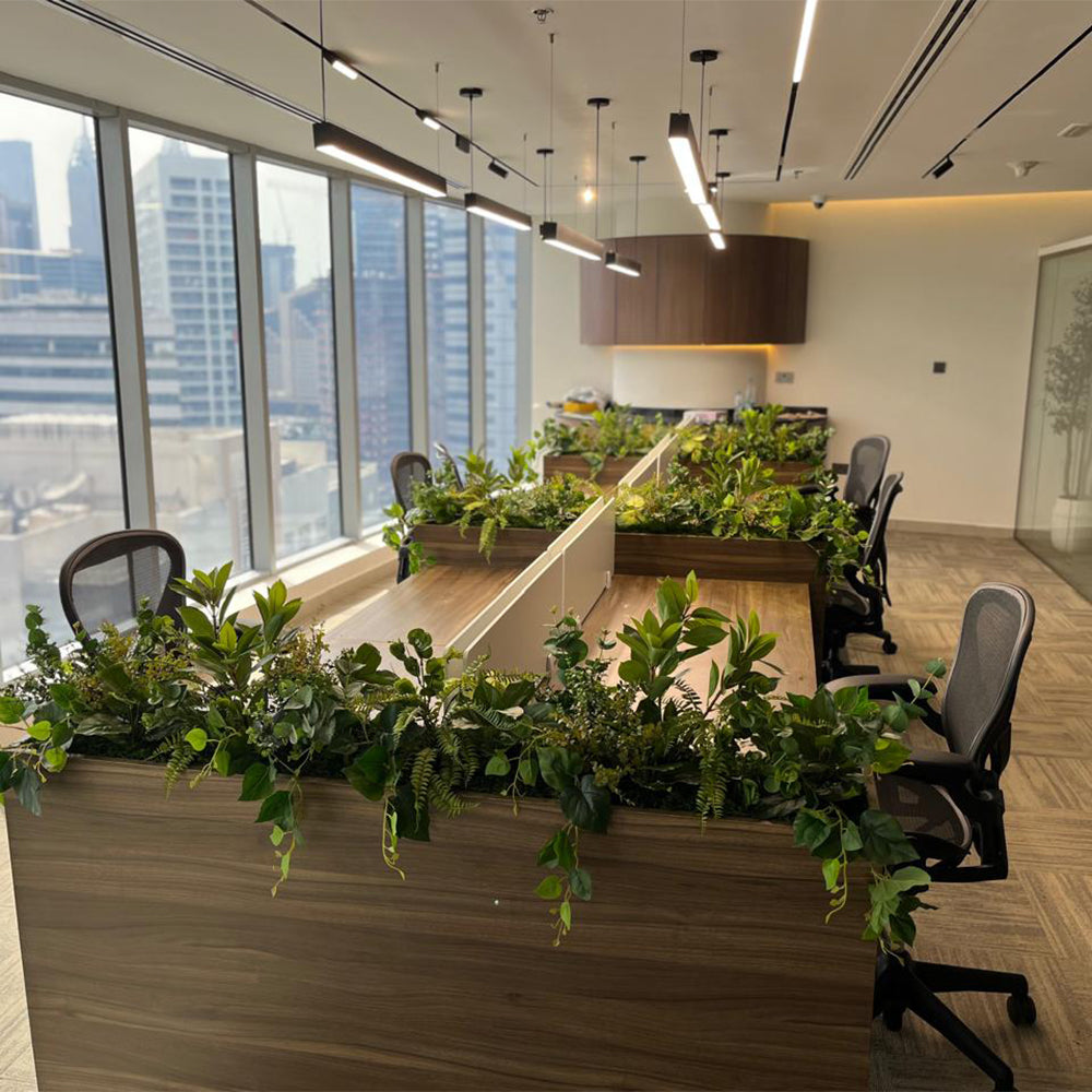 Transform Your Workspace with Green Elegance  for display purposes only (non-sale)