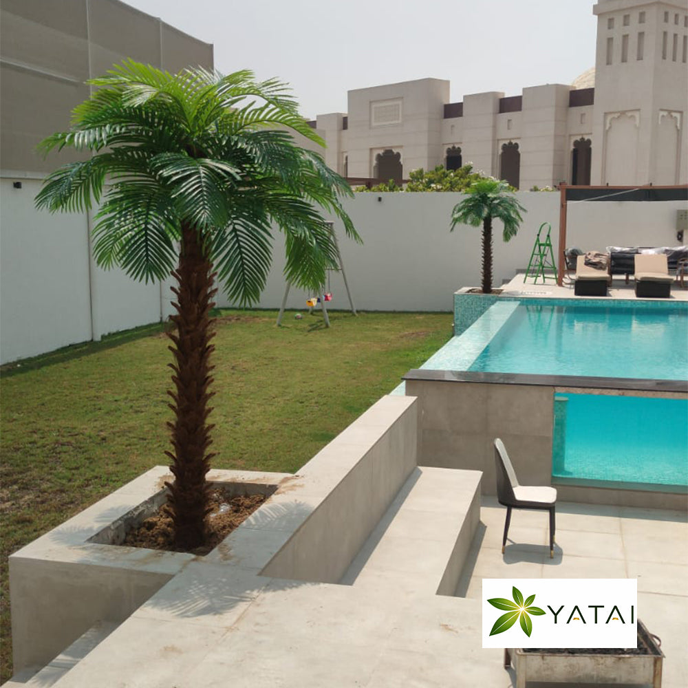 🌴 قطعتان من أشجار النخيل الاستوائية لمساحات خارجية أنيقة للعرض فقط (غير معروض للبيع)