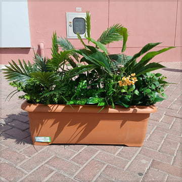 9pcs Tropical Planter Arrangement 🌿for display purposes only (non-sale)