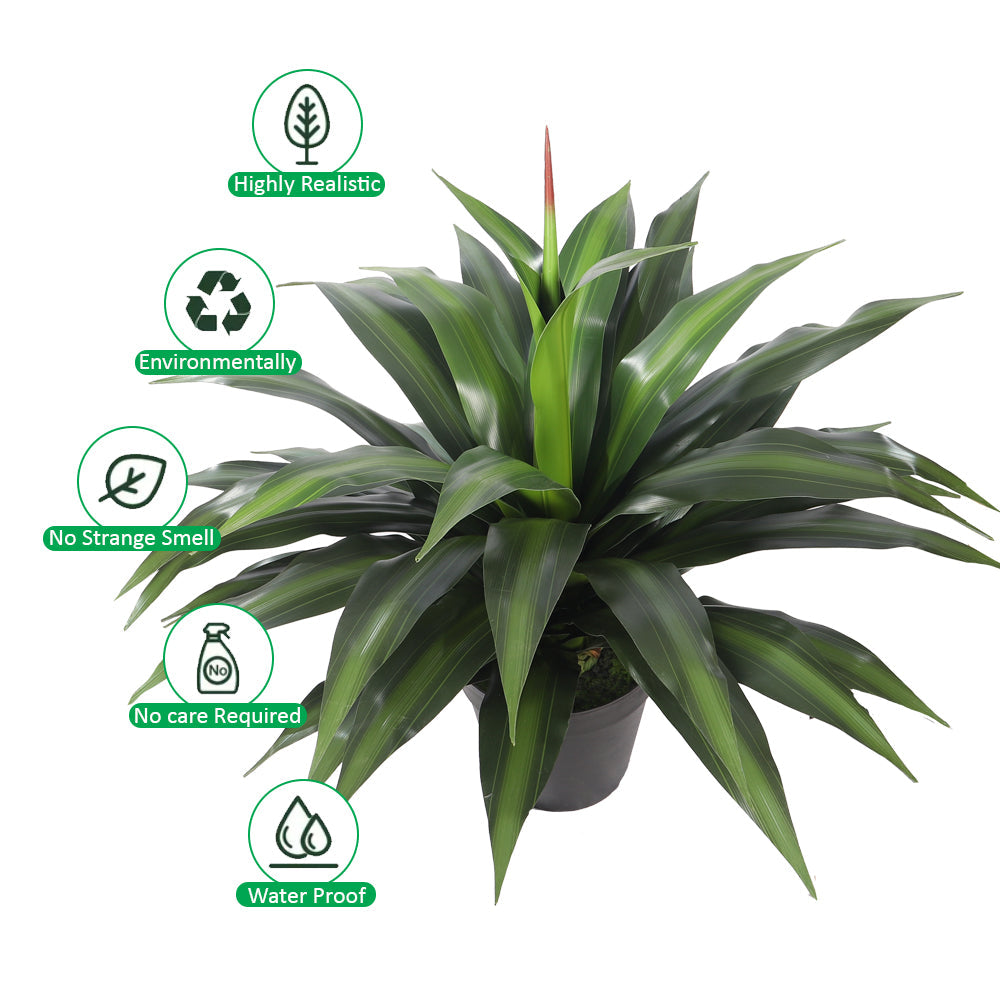 نباتات دراسينا صناعية