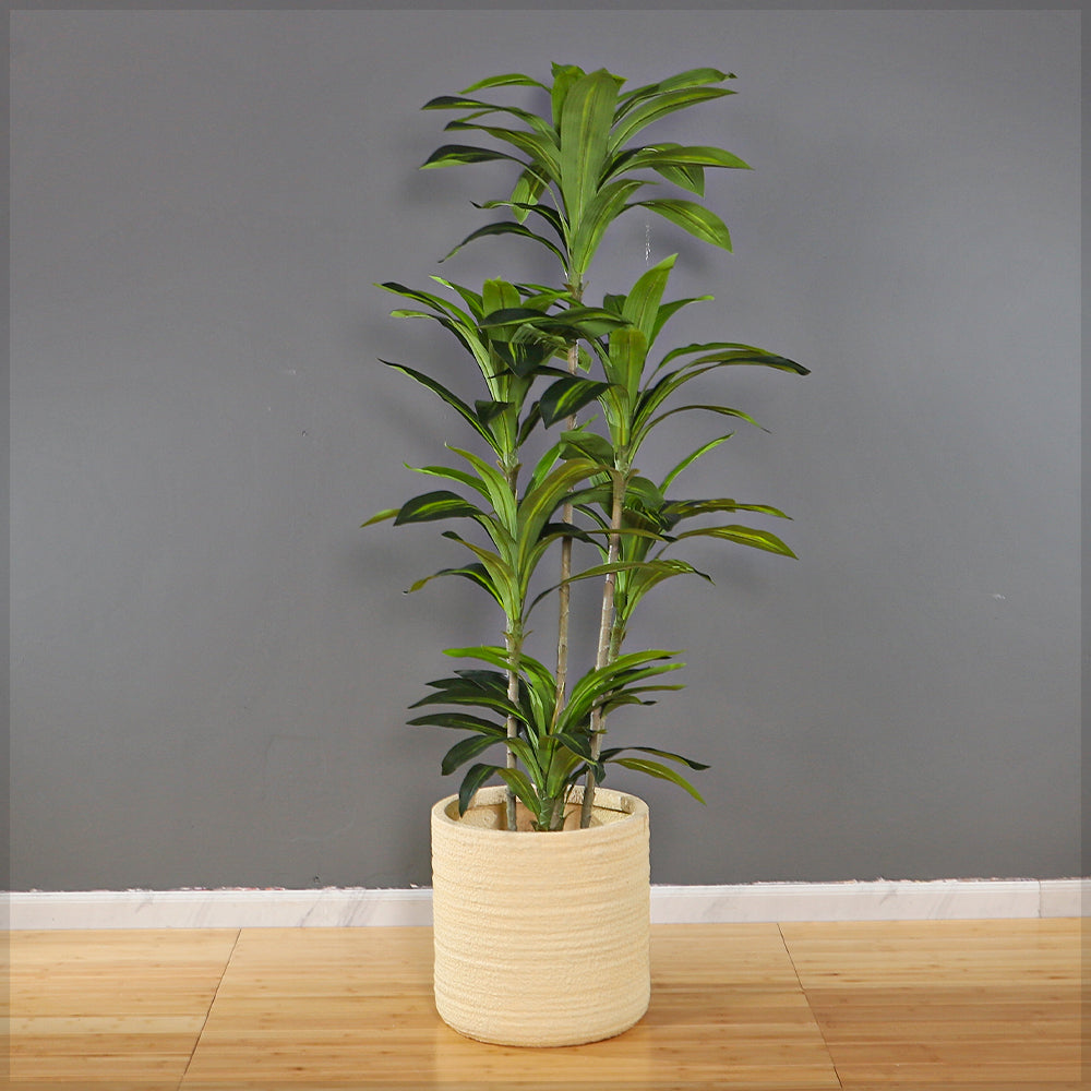 Light Beige Concrete Planter