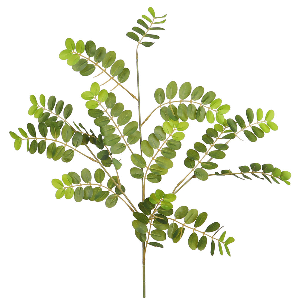 غصن واحد من أوراق الأكاسيا الصناعية (بدون مزهرية)