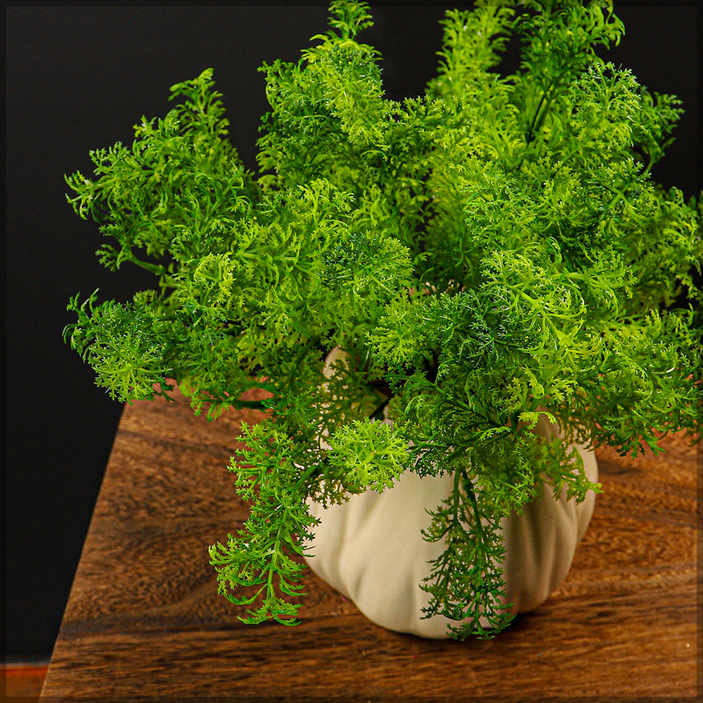 باقة واحدة من نبات الطحلب الصناعي (بدون مزهرية)