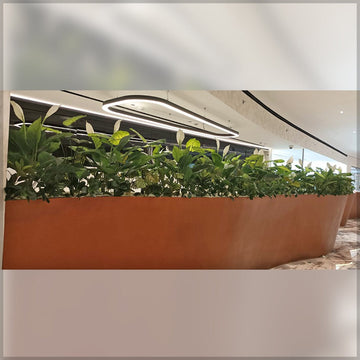 نبتة صناعية لديكور المكاتب للعرض فقط (غير معروض للبيع)