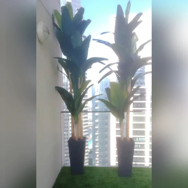 تنسيقات جدار أخضر + مناظر طبيعية بالصبار للعرض فقط (غير معروض للبيع)