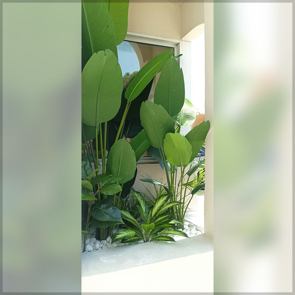 تنسيق نباتات الموز للديكور للعرض فقط (غير معروض للبيع)
