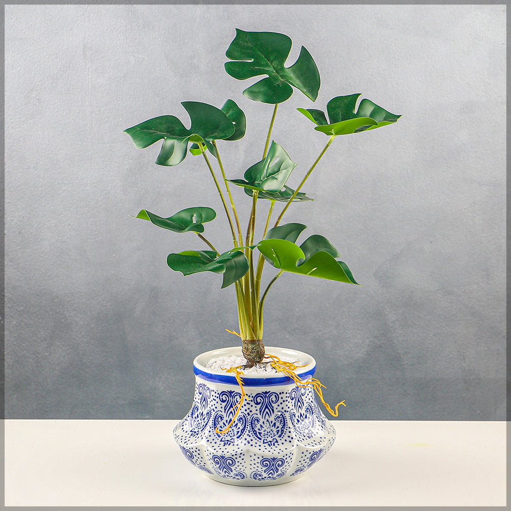 Beautiful White/Blue Ceramic Vase